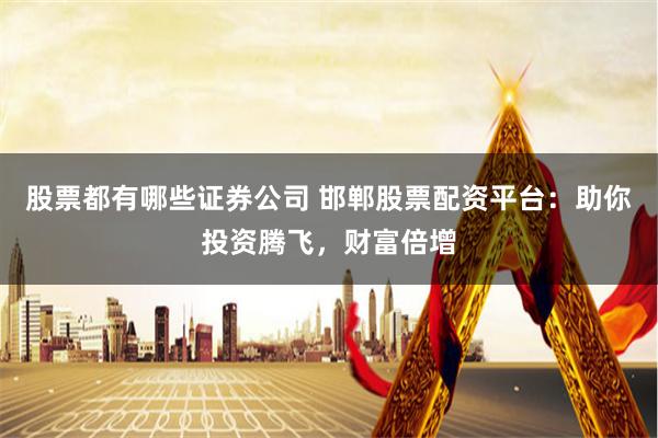 股票都有哪些證券公司 邯鄲股票配資平臺：助你投資騰飛，財富倍增