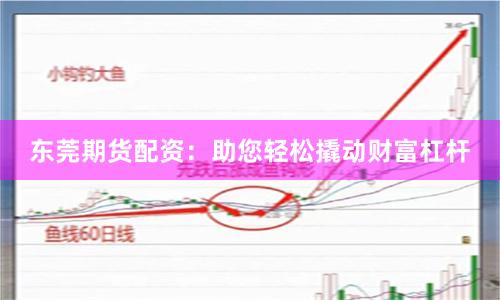 東莞期貨配資：助您輕松撬動(dòng)財(cái)富杠桿