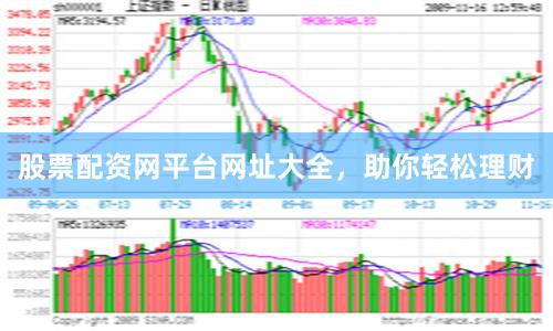股票配資網平臺網址大全，助你輕松理財